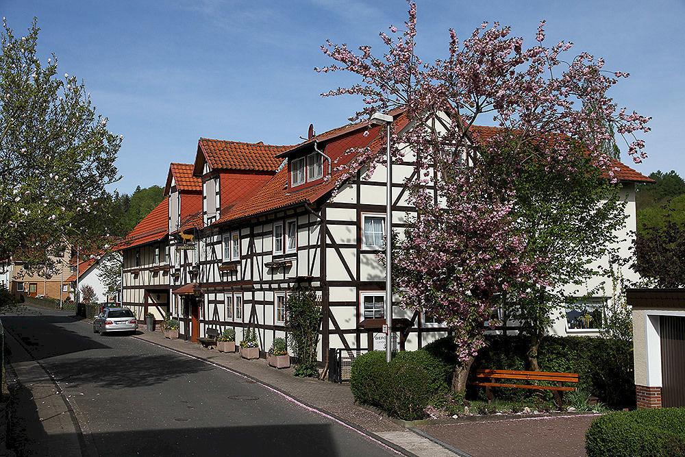 Brauner Hirsch Hannoversch Münden Exterior foto